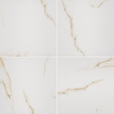 Aria Bianco 24x24 Polished