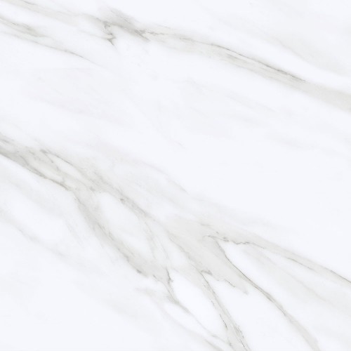 Calacatta 24x24 Polished