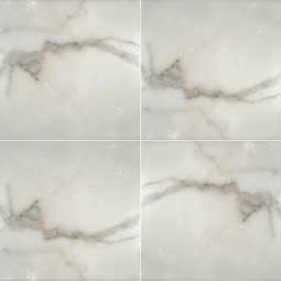 Calacatta 12x12 Polished