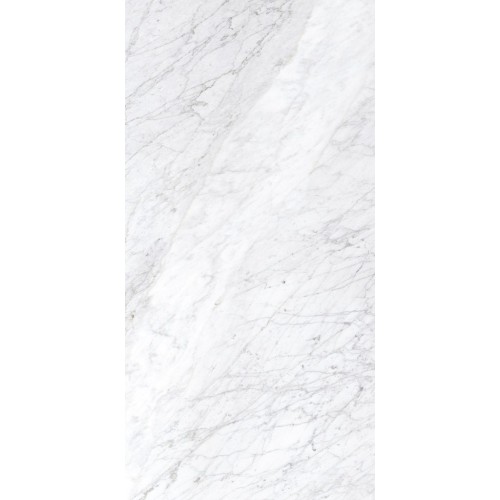 Carrara 24x48 Matte