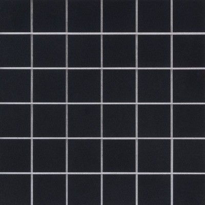 Domino Black 2x2 Matte