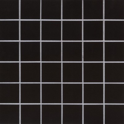 Domino Black 2x2 Polished