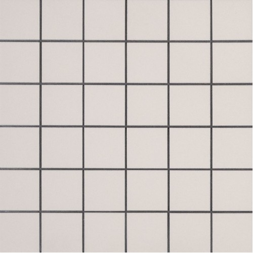 Domino White 2x2 Matte