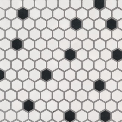 Black And White 1x1 Hexagon Matte