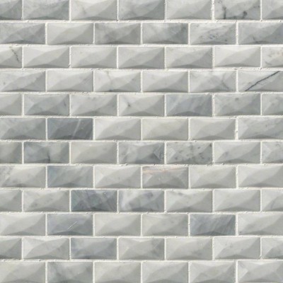 Carrara White 1x2 3D Polished